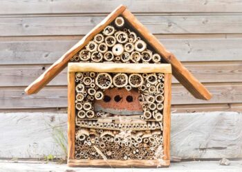 Insektenhotel (depositphotos.com)