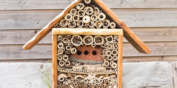 Insektenhotel (depositphotos.com)