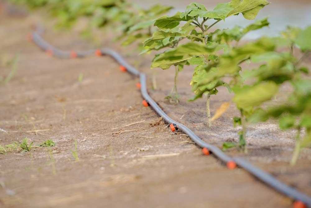 Tropfen Bewässerung für den Garten Tropfen Bewässerung für den Garten (depositphotos.com)