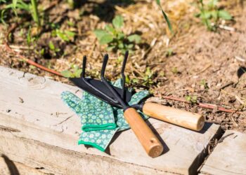 Nachhaltiges Gartenwerkzeug (depositphotos.com)