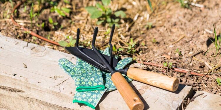 Nachhaltiges Gartenwerkzeug (depositphotos.com)