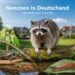 Neozoen in Deutschland – gebietsfremde Tierarten